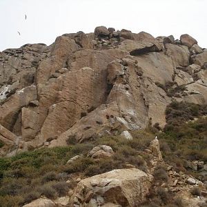 Maybe I should climb in stead.......