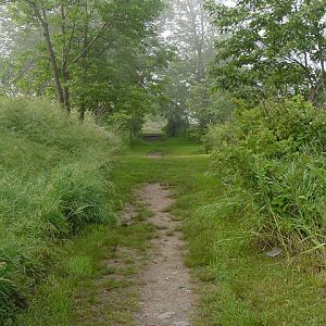 DSC00005