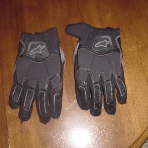 Alpinestars Gloves - Back