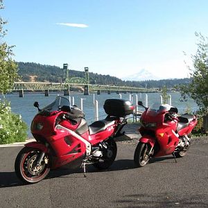 day_4_bikes_with_bridge_and_mt_hood