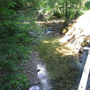 day_4_creek_again
