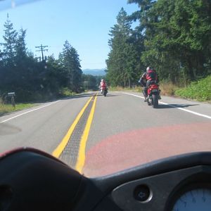 day_4_following_jay_and_RW_closer_with_trees_on_side1