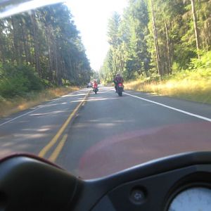 day_4_following_jay_and_RW_trees