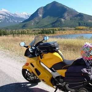 1999 Yellow VFR800