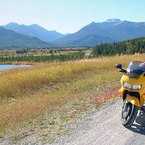 1999 Yellow VFR800