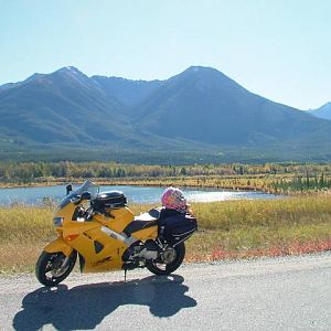 1999 Yellow VFR800