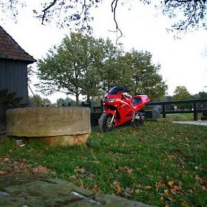 IMG_6332_Medium_