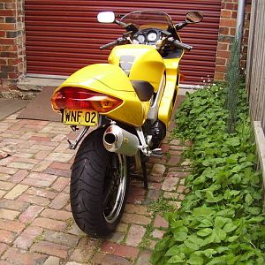 YELLOW GEN 5