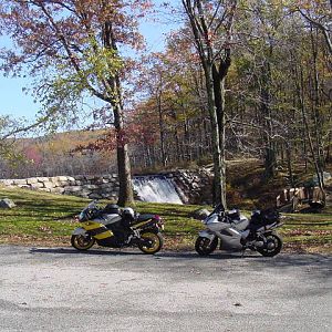 DSC000781