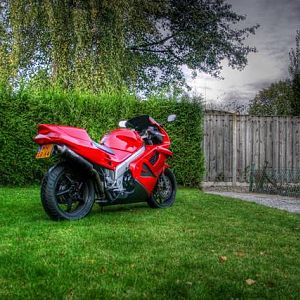 IMG_6645_6_4_Large_