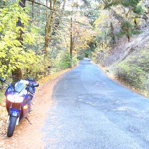 Mendocino Road