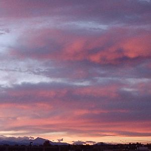 Cool Sunset