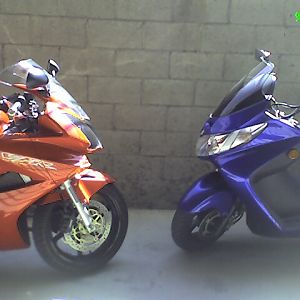 Photo_090608_005