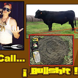 callbullshit4yk