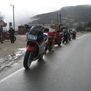 Ortega 0103