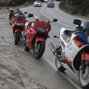 Ortega 0103