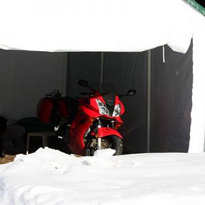 Is it Spring yet?
