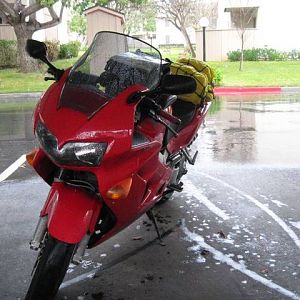 3_tucked_in_in_Carpenteria