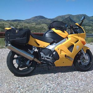 IMG_00341