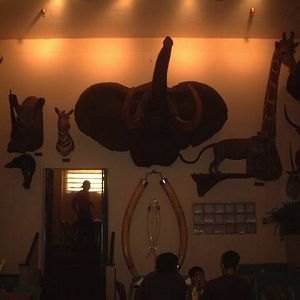 DSCF0209