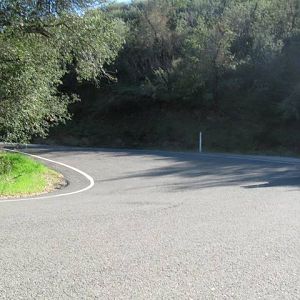 1b_curve_on_229