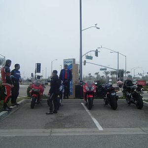 green_cam_113