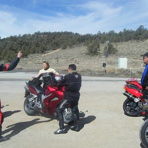 green_cam_117