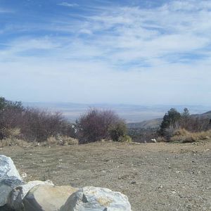 green_cam_120