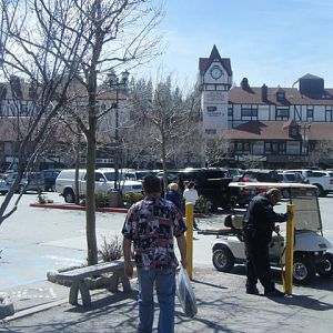 green_cam_141