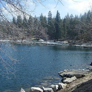 green_cam_152