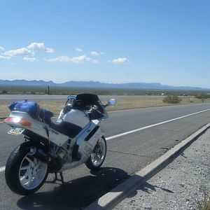 green_cam_088