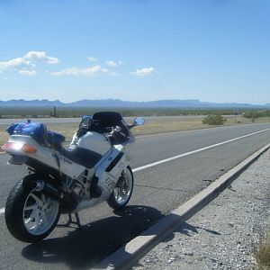 green_cam_089
