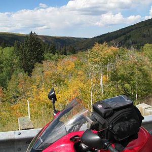 IMG_0451
