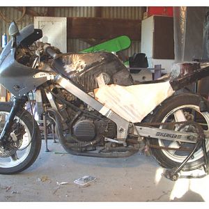 side_tail_shot