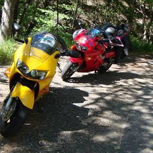 DSC01649_Medium_
