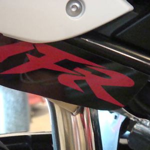 Cover / emblem for empty foot peg holes