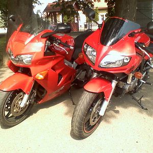 sv_viffer01