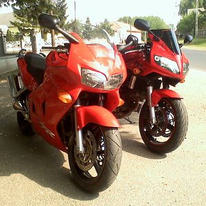 sv_viffer02