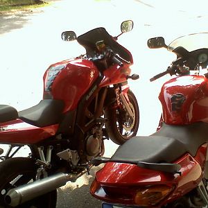 sv_viffer06