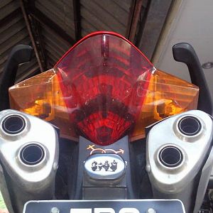 Back View