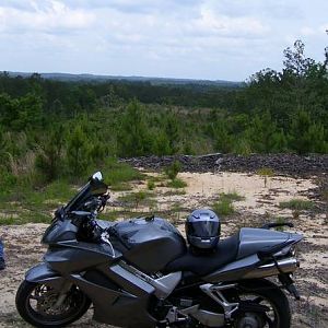 Hills of Louisana