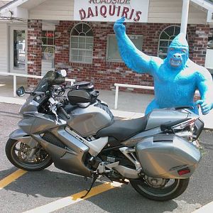 Daiquiri Monkey on LA 90