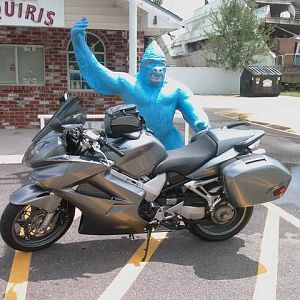 Daiquiri Monkey on La 90