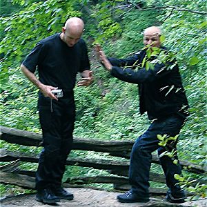 Playtime in the woods