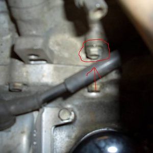 Engine Block Coolant Drain Bolt