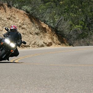 IMG_10841