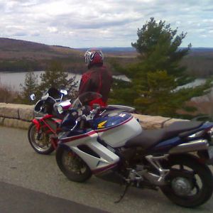 acadia national  park