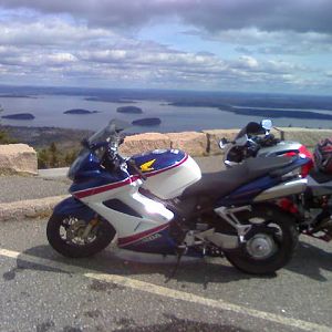 acadia national  park