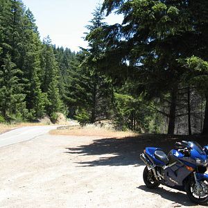 Mountain View Rd.