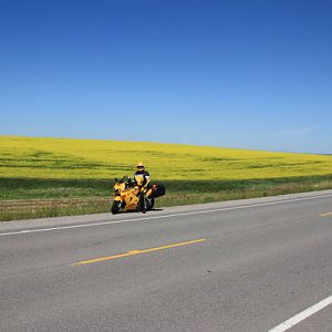 IMG_1356